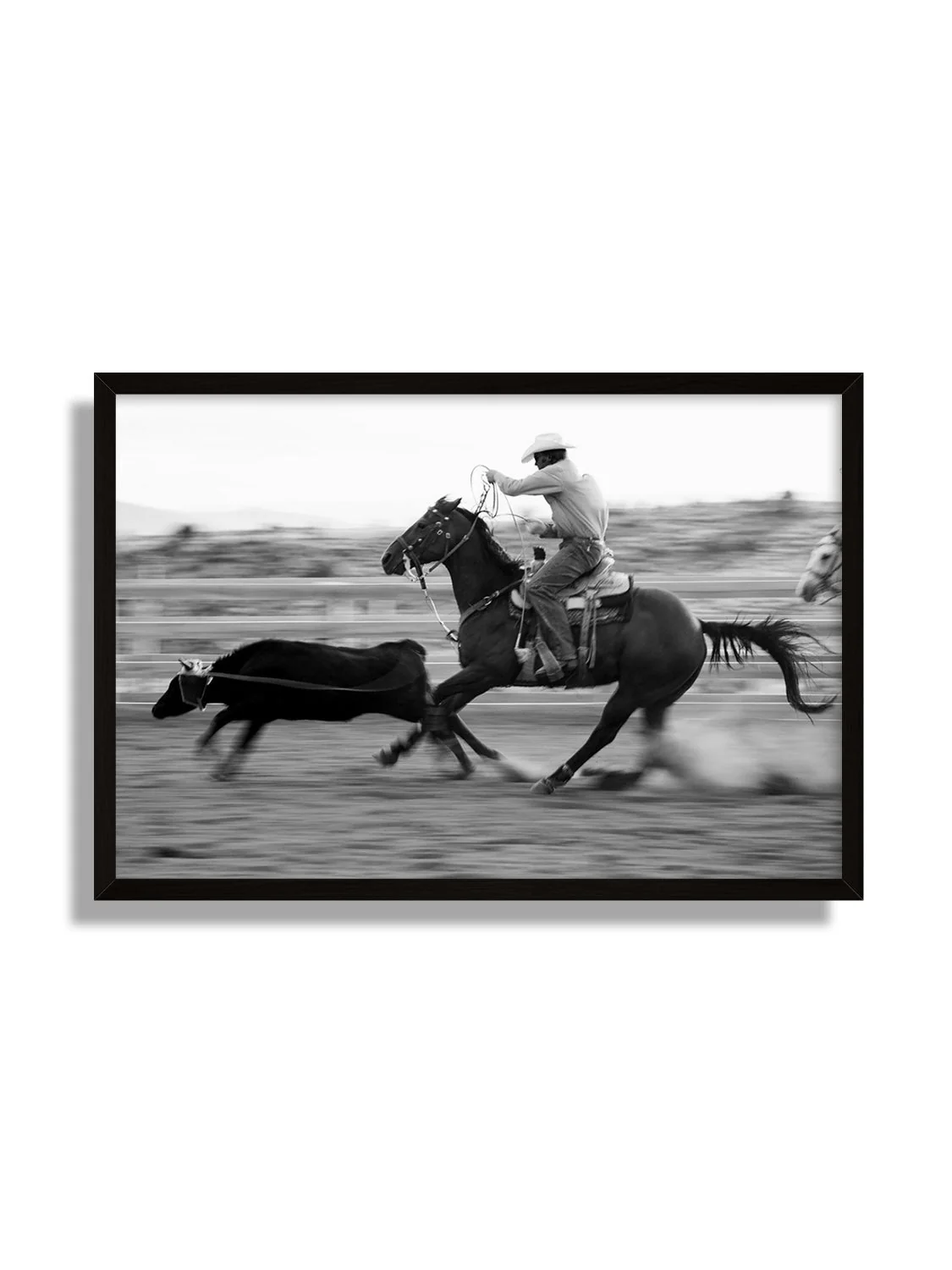Roping - Michael Potter - Image 6