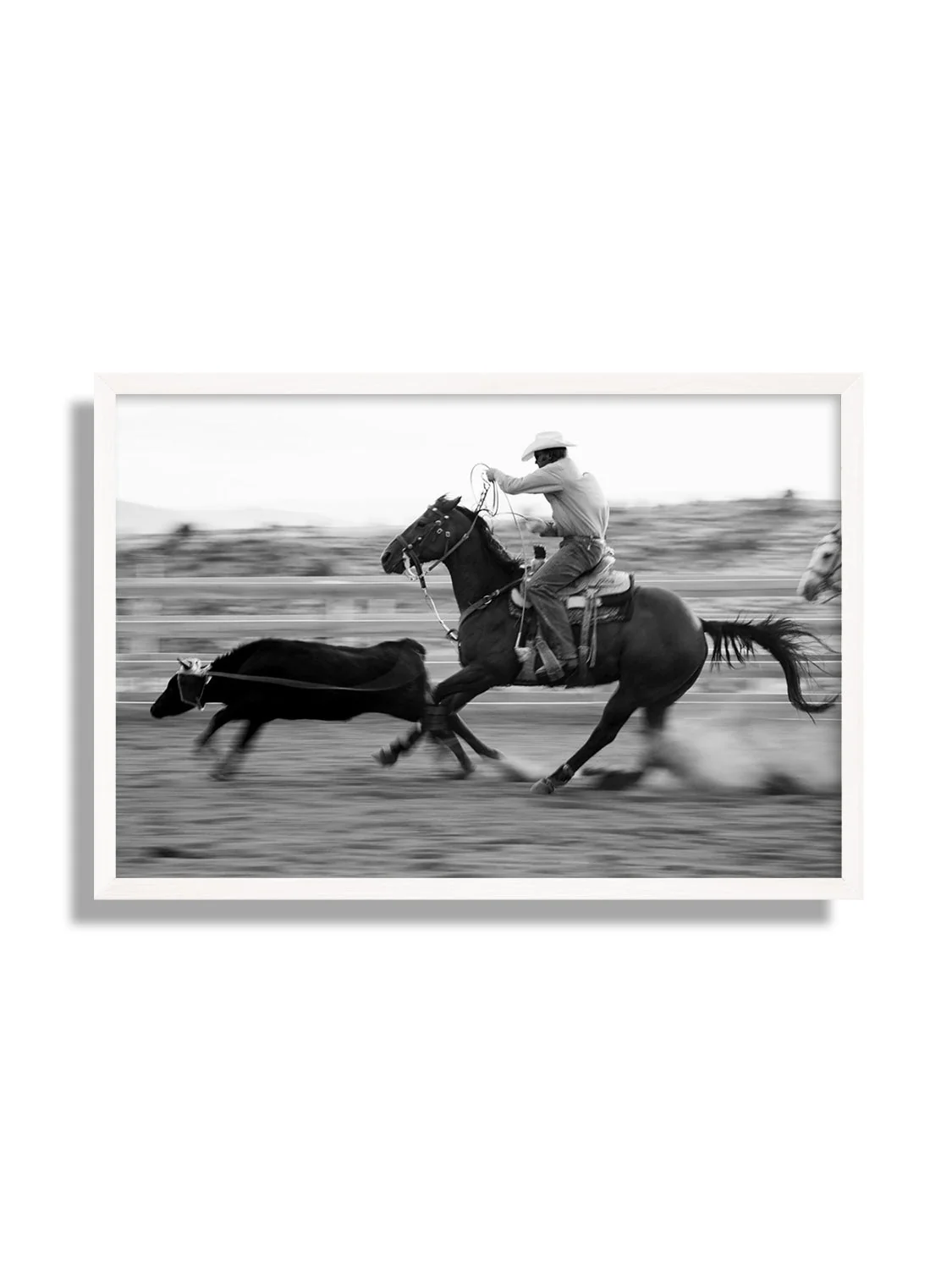 Roping - Michael Potter - Image 7