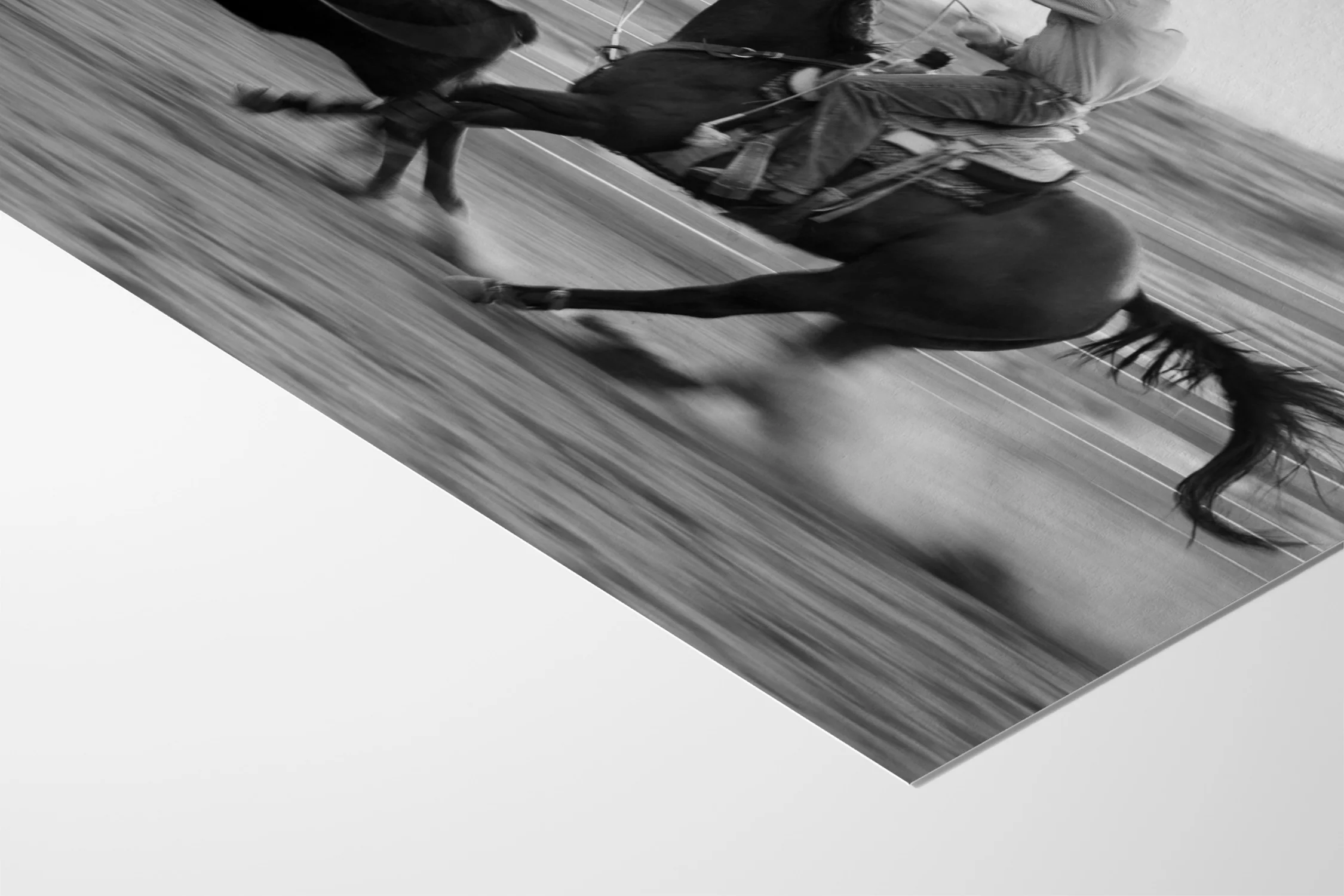 Roping - Michael Potter - Image 9