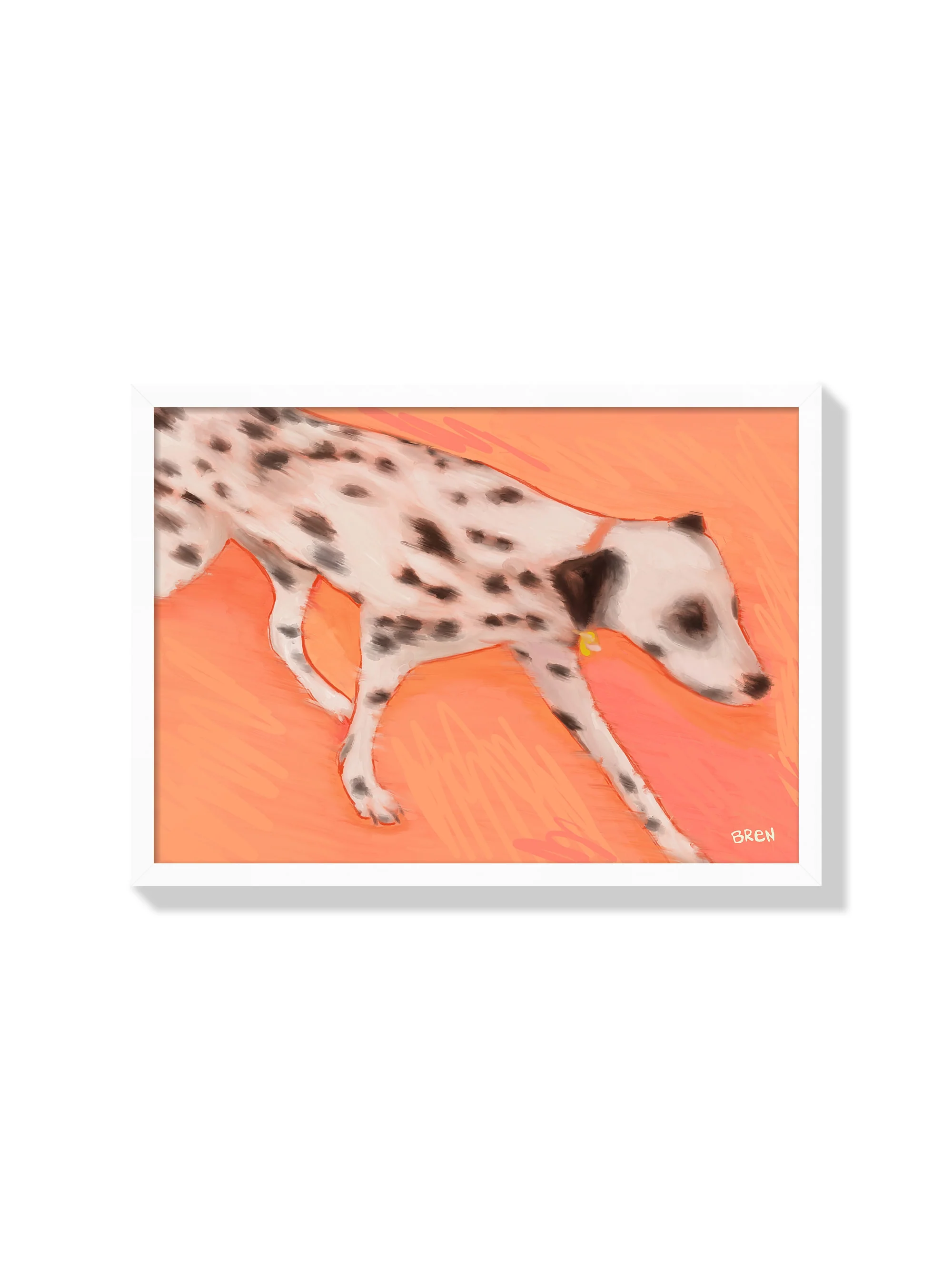 Running Dalmation - Scared of Moths - Image 2