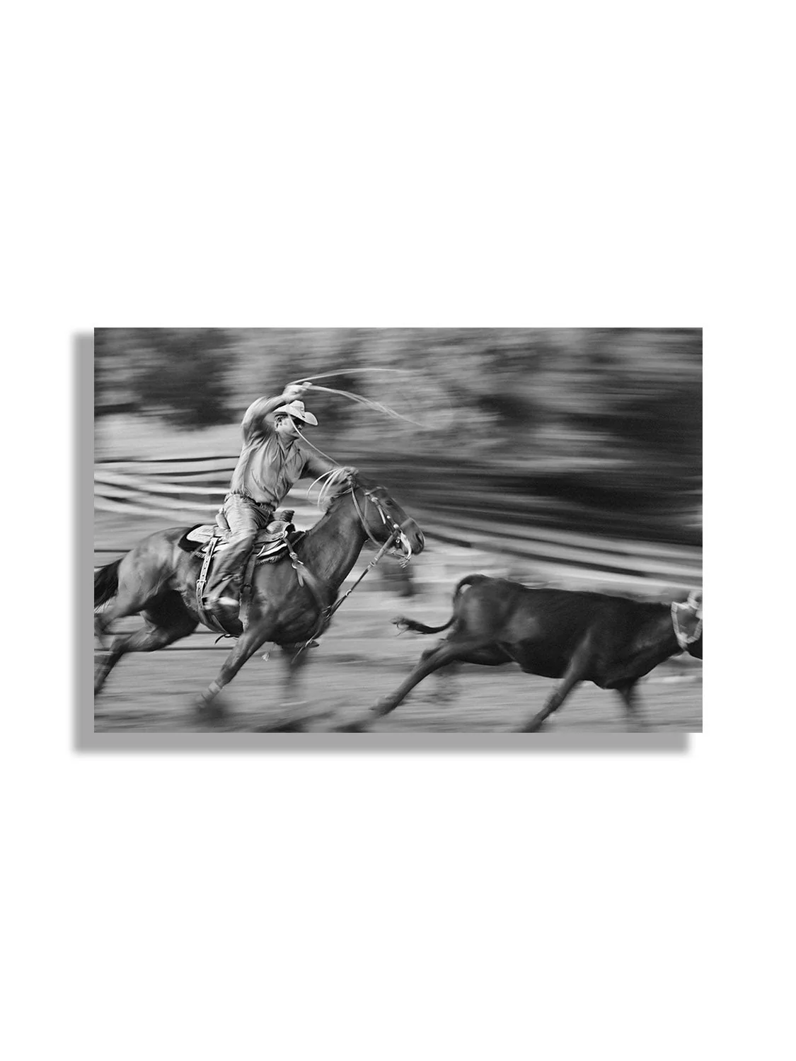 The Chase - Michael Potter - Image 5