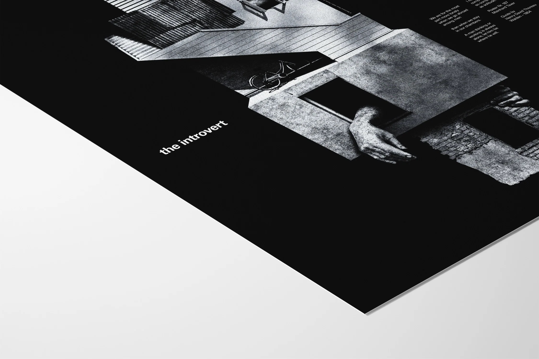 The Introvert - Meinhard Taxer - Image 4