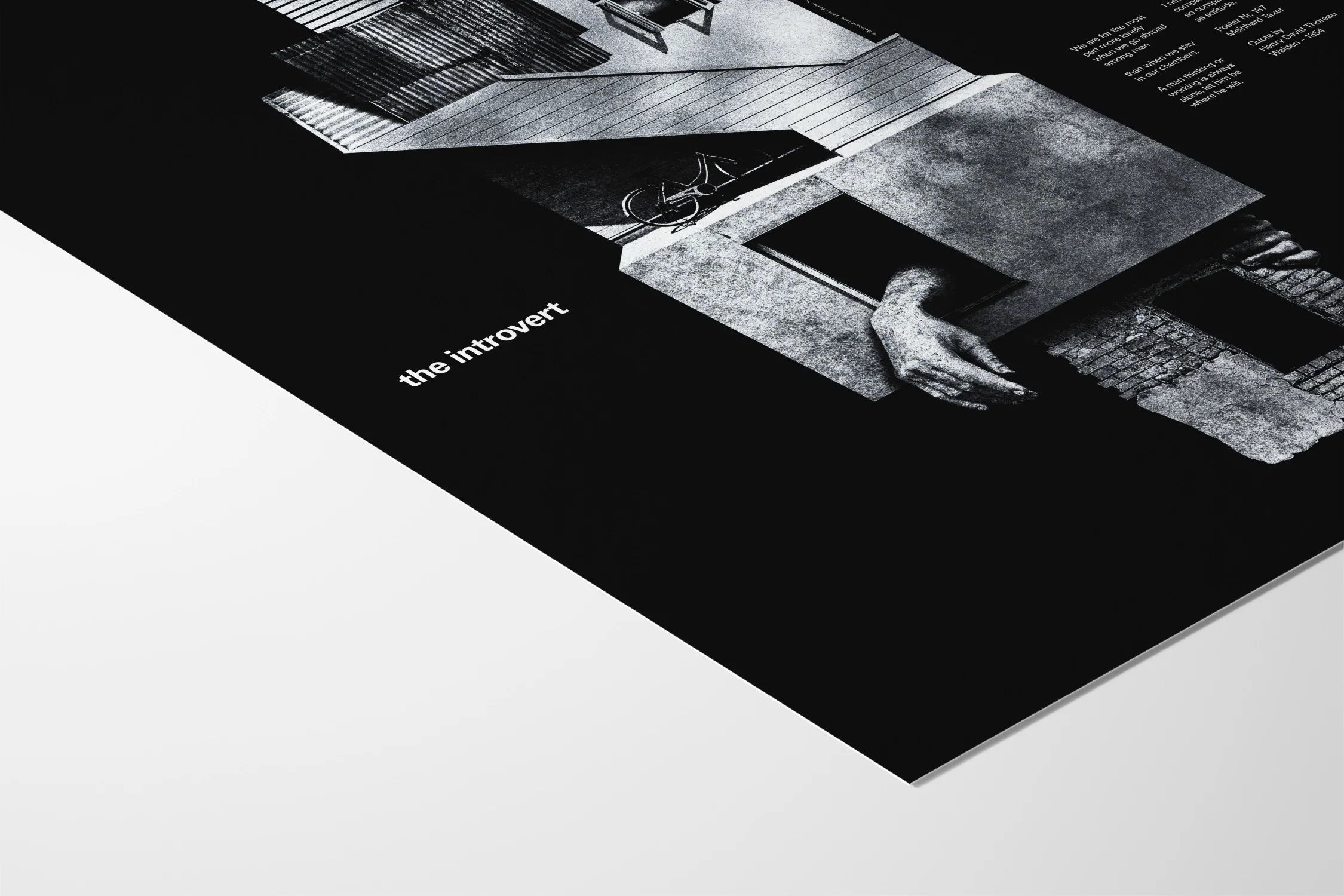 The Introvert - Meinhard Taxer - Image 5