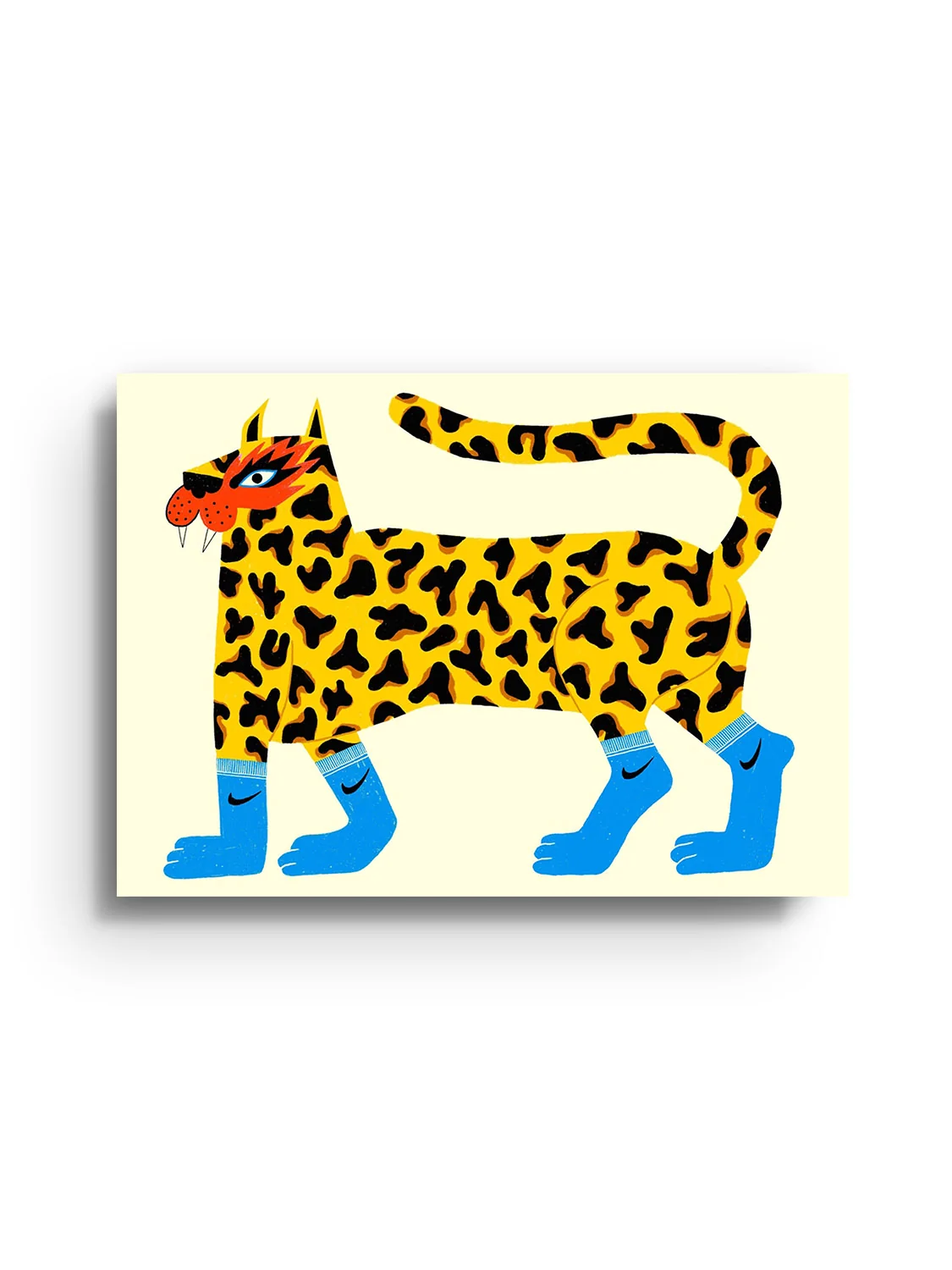 Tigre à Chaussettes - Petrouchkaka - Image 5
