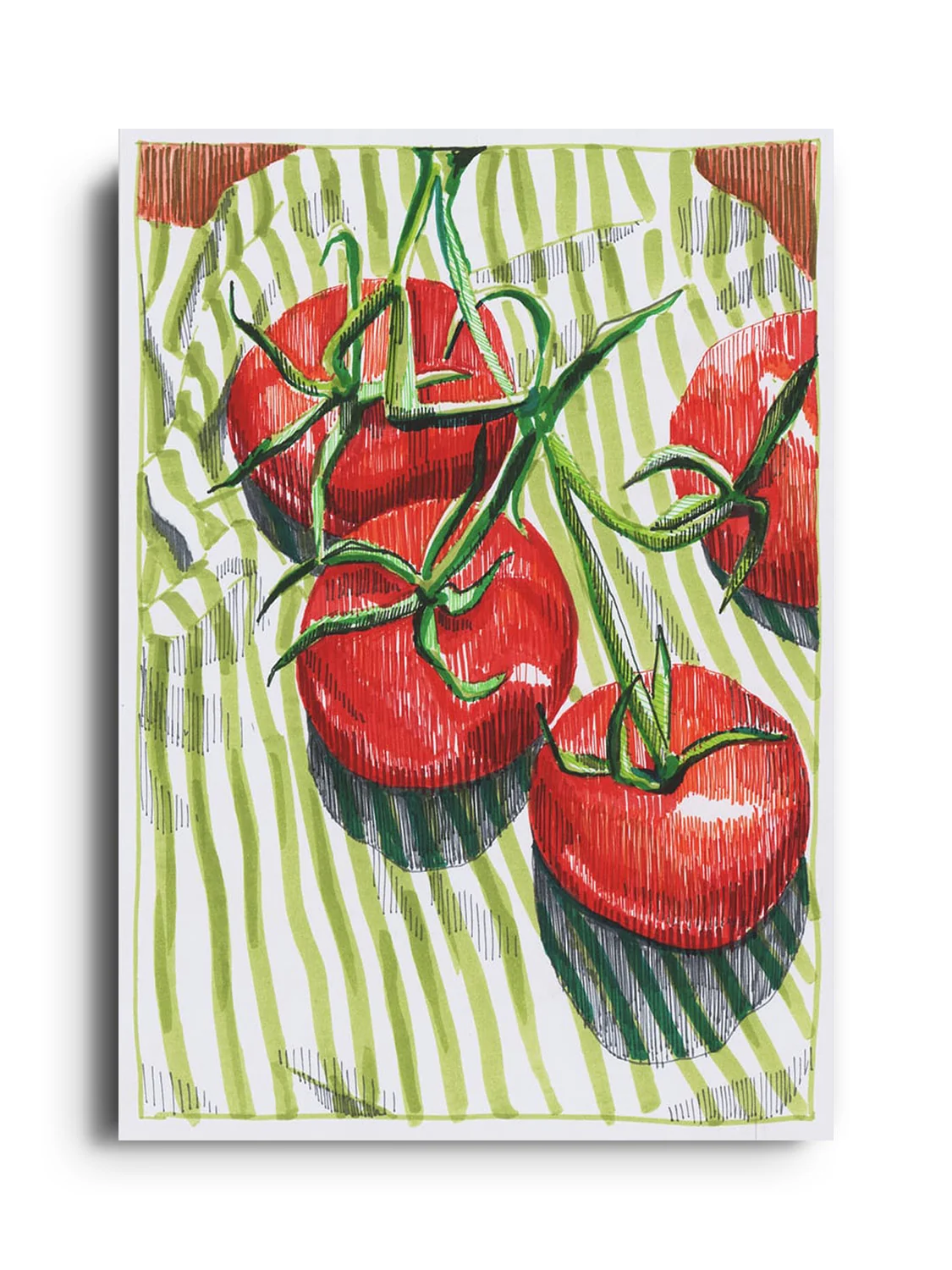 Vine Tomatoes - Emma Louise - Image 6