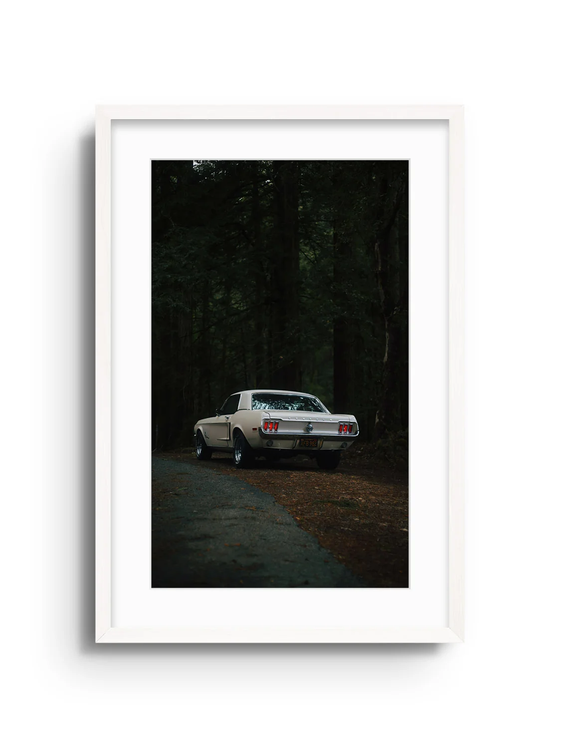 Woods - Gelstang - Image 3