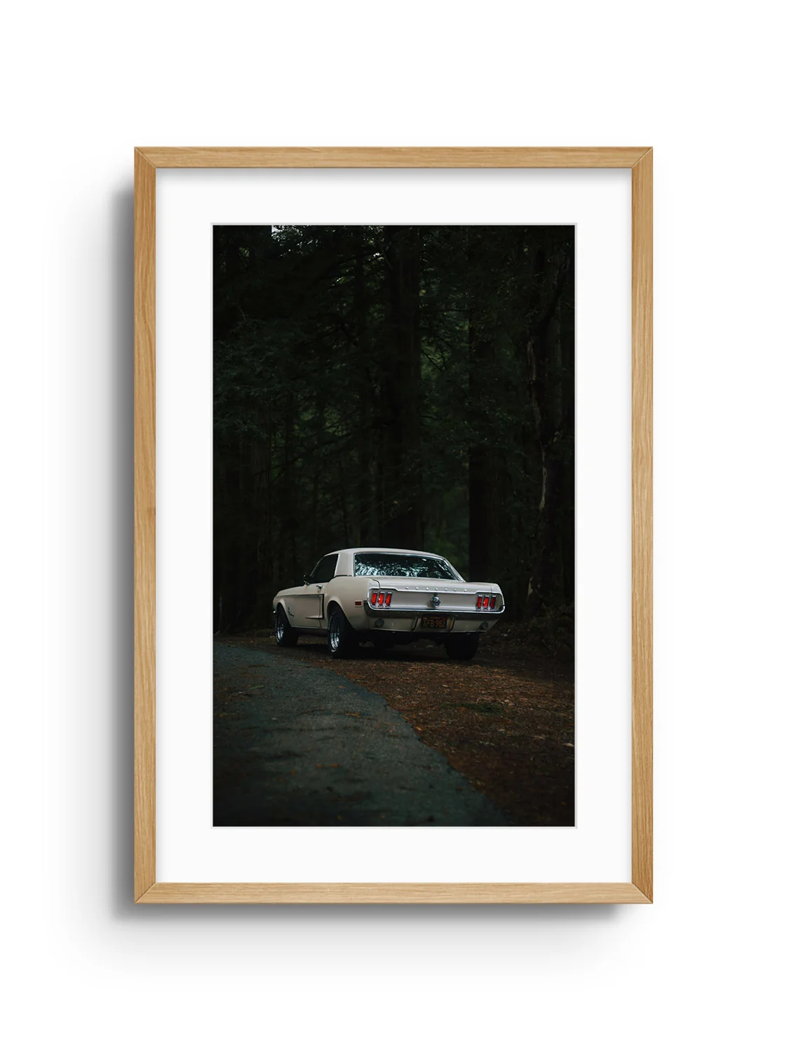Woods - Gelstang - Image 4