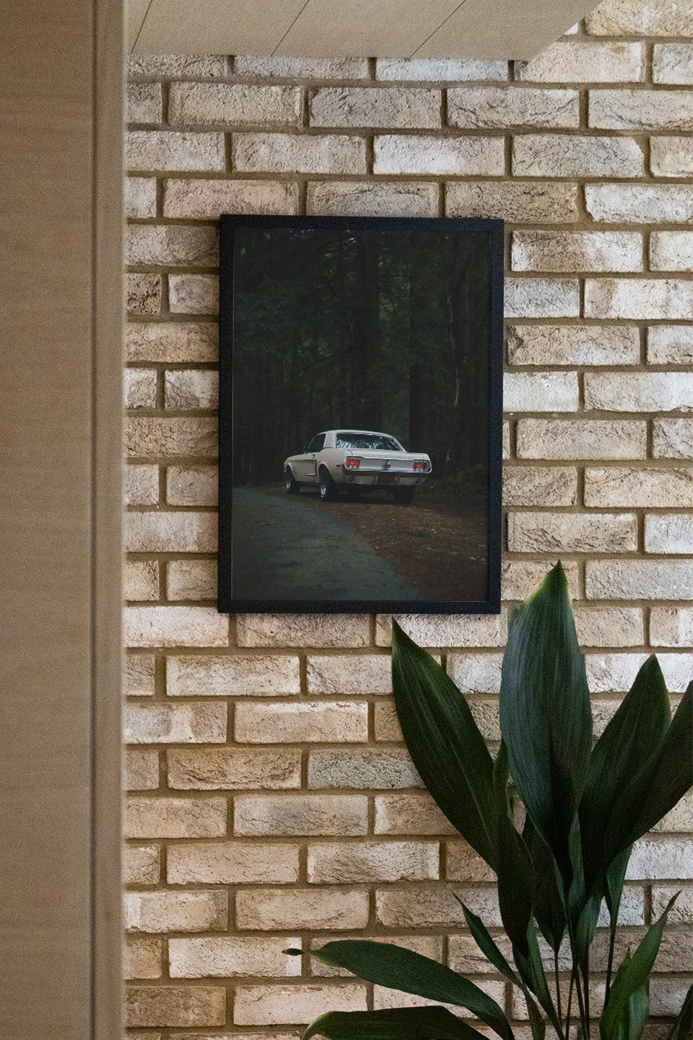 Woods - Gelstang - Image 7