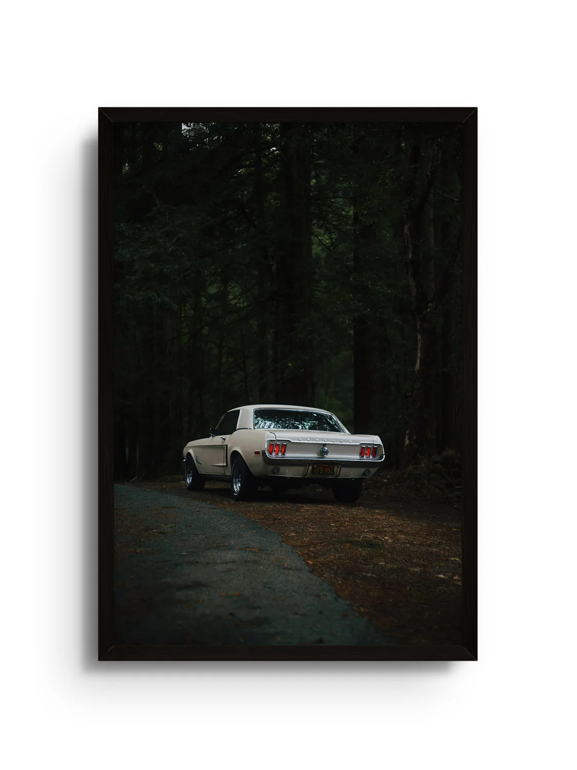 Woods - Gelstang - Image 8